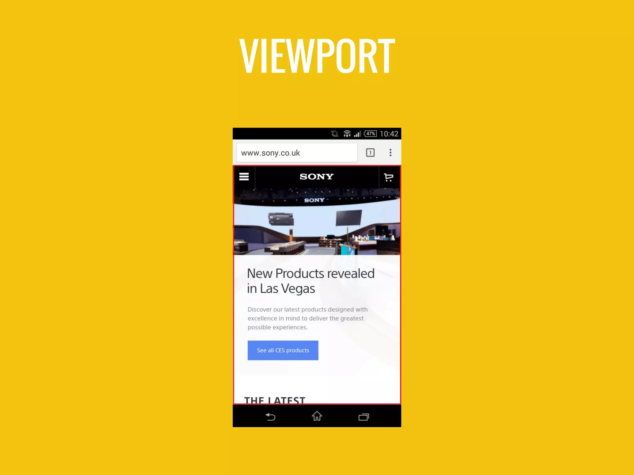 VIEWPORT
 