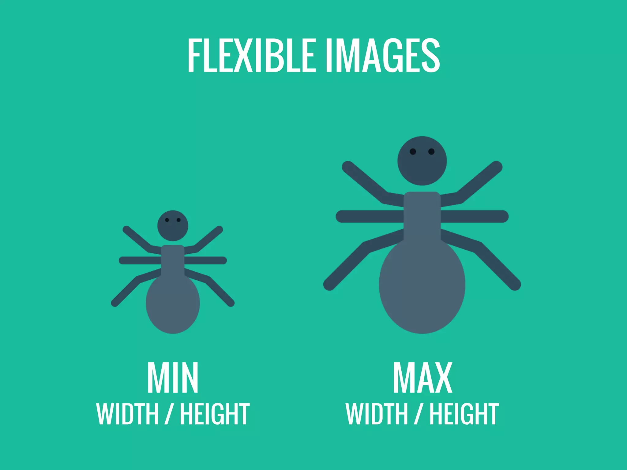 FLEXIBLE IMAGES
MIN
WIDTH / HEIGHT
MAX
WIDTH / HEIGHT
 