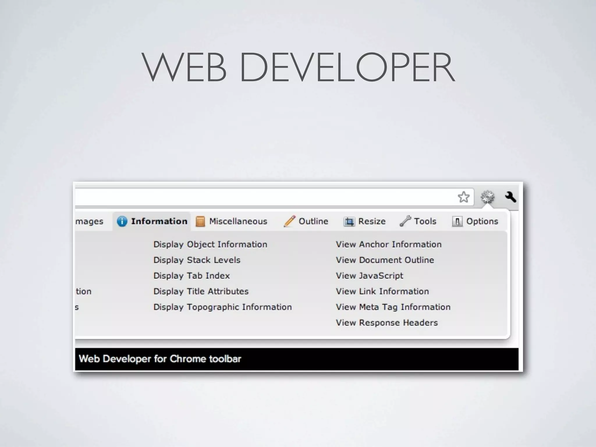 WEB DEVELOPER
 