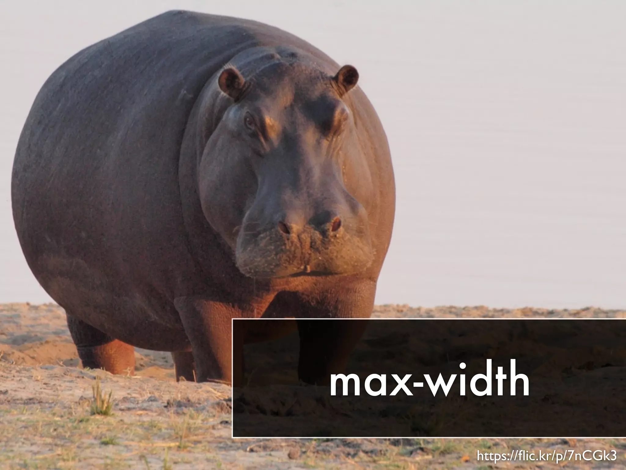 max-width 
https://flic.kr/p/7nCGk3 
 