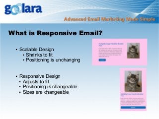What is Responsive Email?




Scalable Design
 Shrinks to fit
 Positioning is unchanging
Responsive Design
 Adjusts to fit
 Positioning is changeable
 Sizes are changeable

 