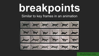 breakpoints
Similar to key frames in an animation
Muybridge cats
 