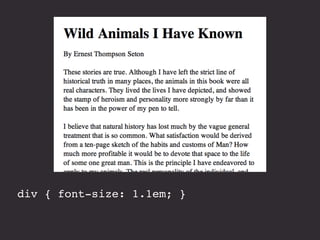 html { font-size: 100%; } 
 