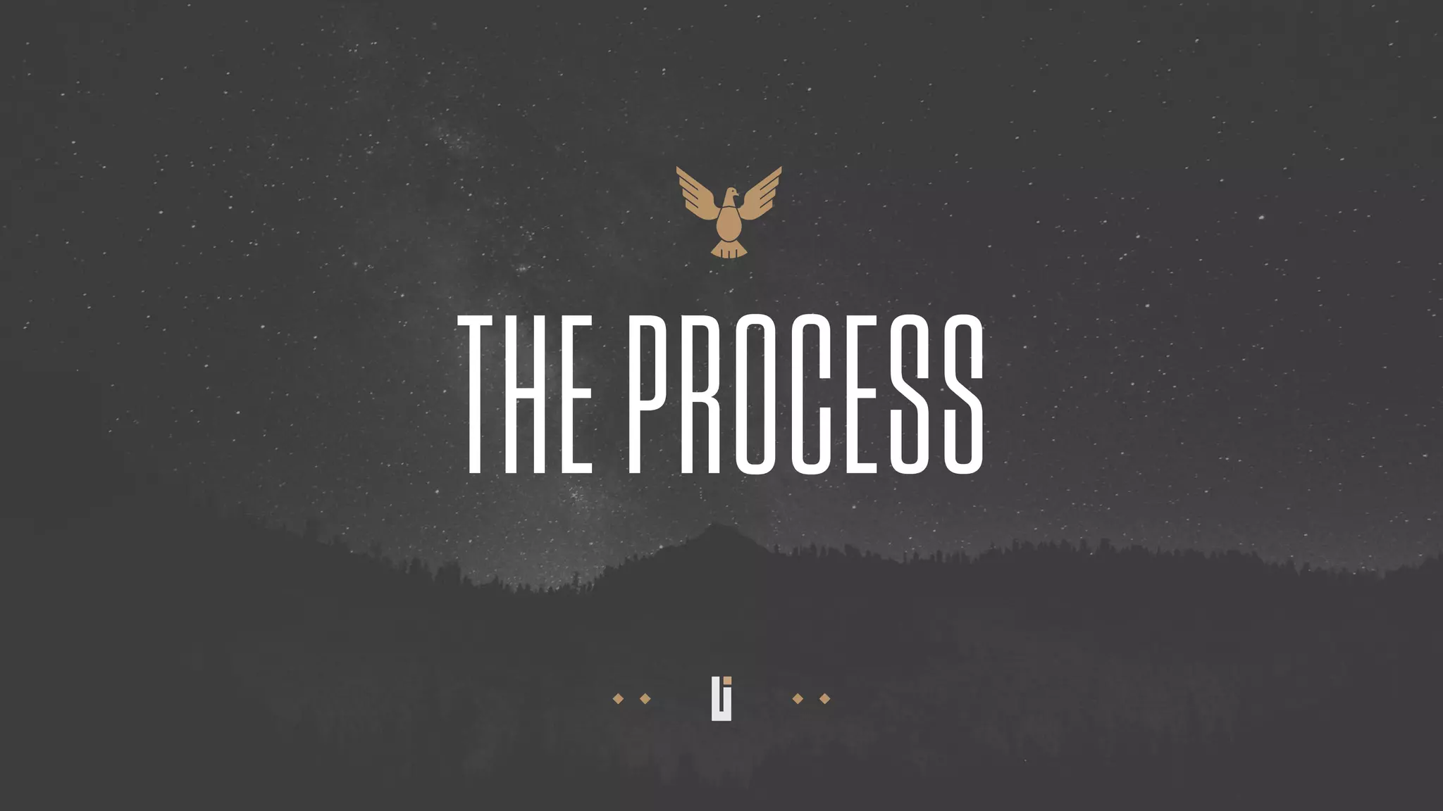 THEPROCESS
 