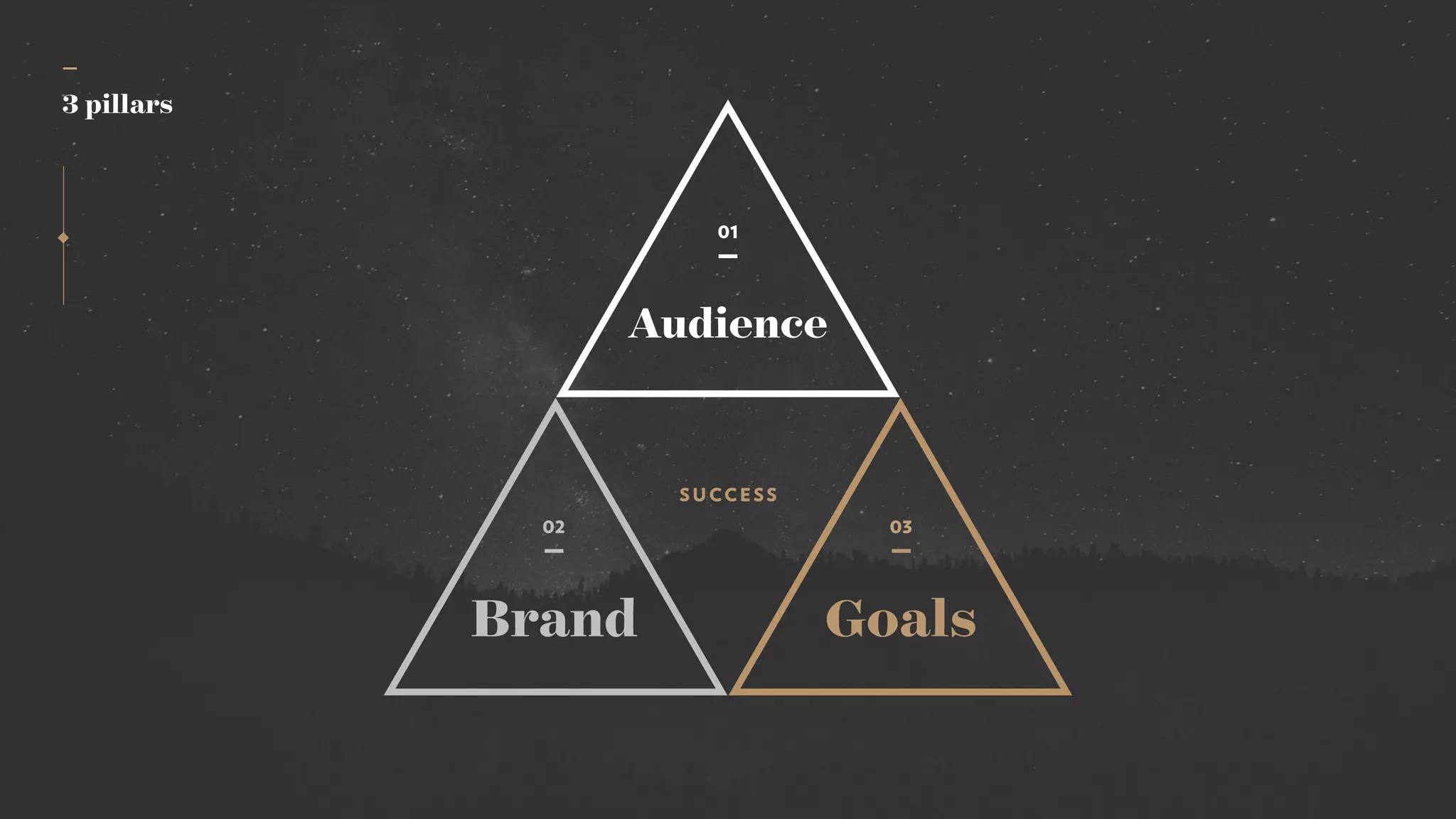 Audience
SUCCESS
01
Brand
02
Goals
03
—
3 pillars
 
