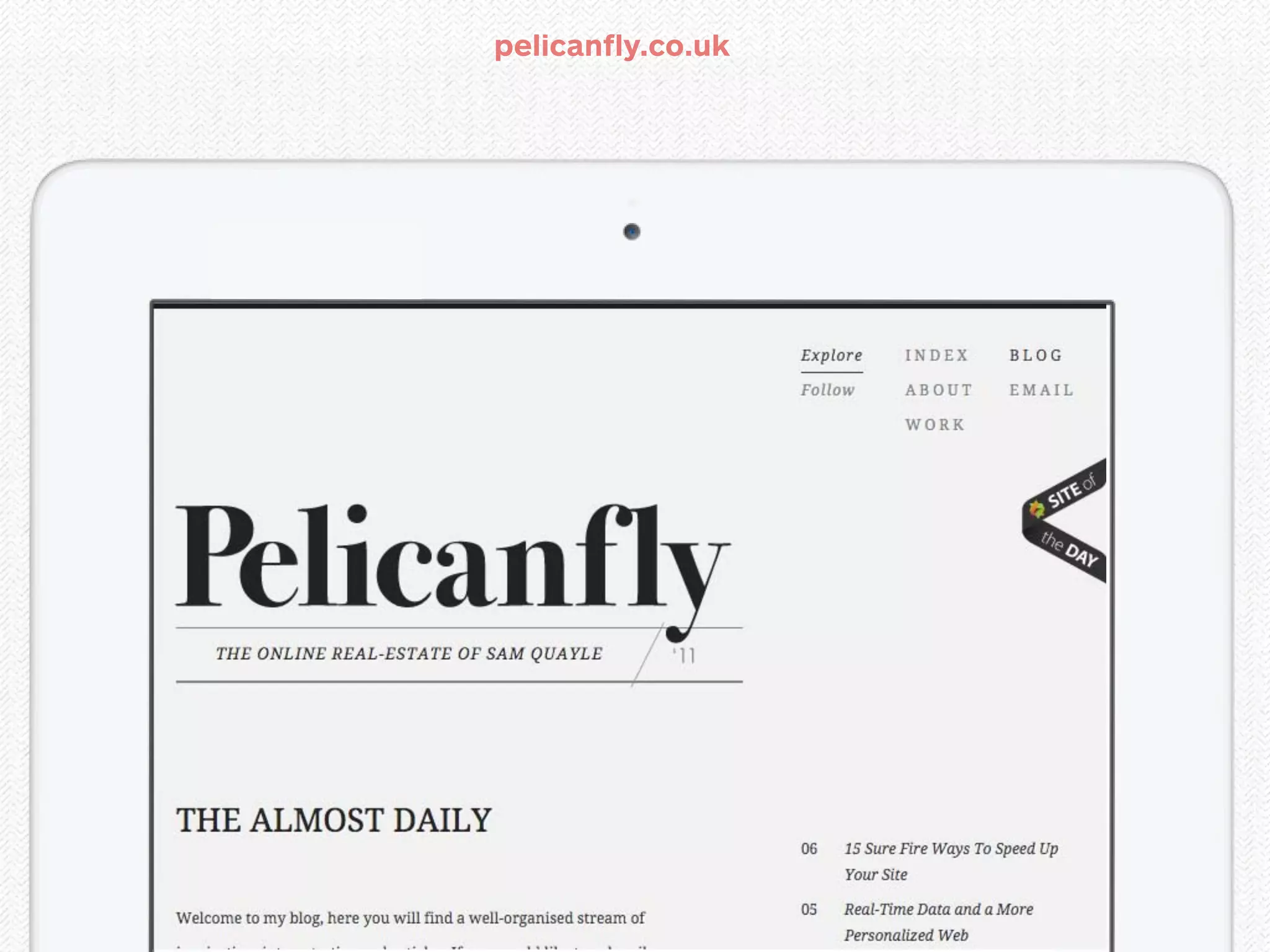 pelicanfly.co.uk
 