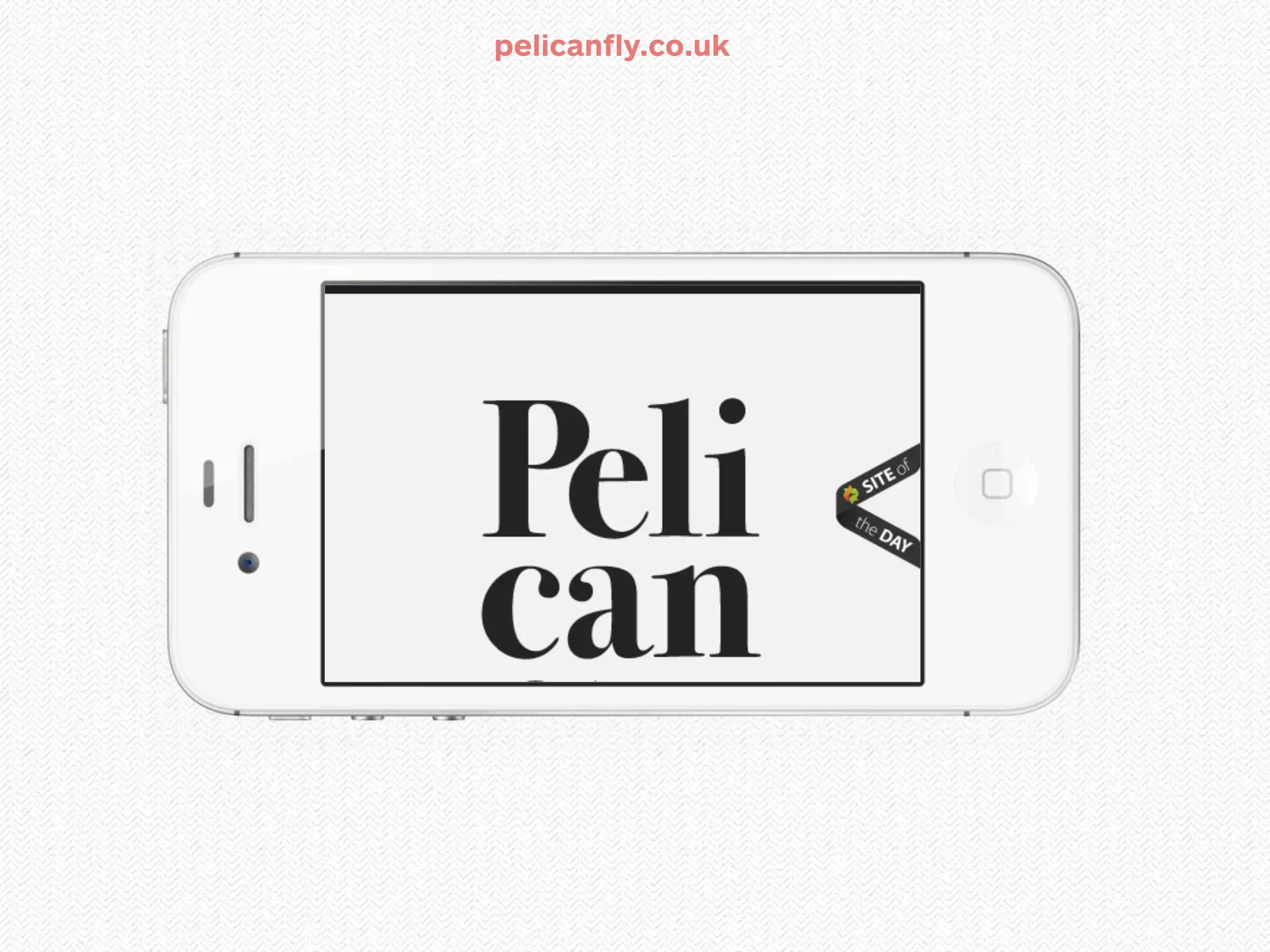 pelicanfly.co.uk
 
