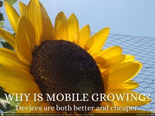 Responsive Design and Mobile First