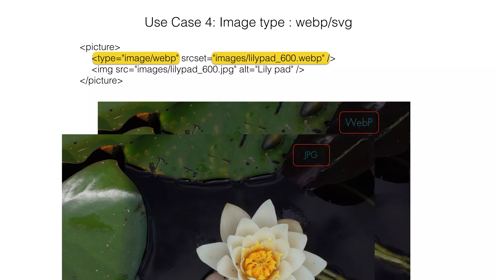 Use Case 4: Image type : webp/svg 
<picture> 
<type="image/webp" srcset="images/lilypad_600.webp" /> 
<img src="images/lilypad_600.jpg" alt="Lily pad" /> 
</picture> 
 