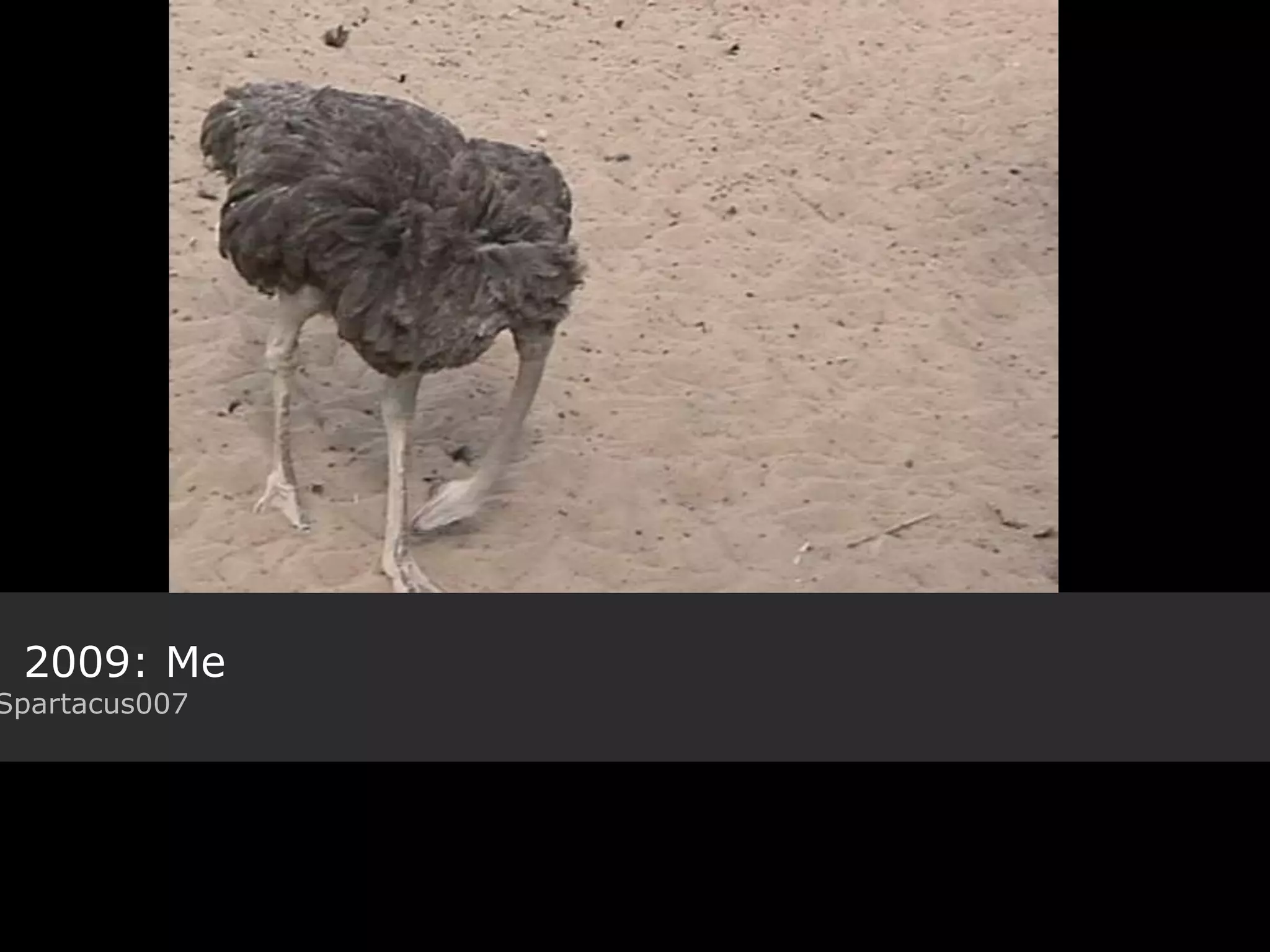 Title Flickr: photographer 2009: Me Flickr: Spartacus007 