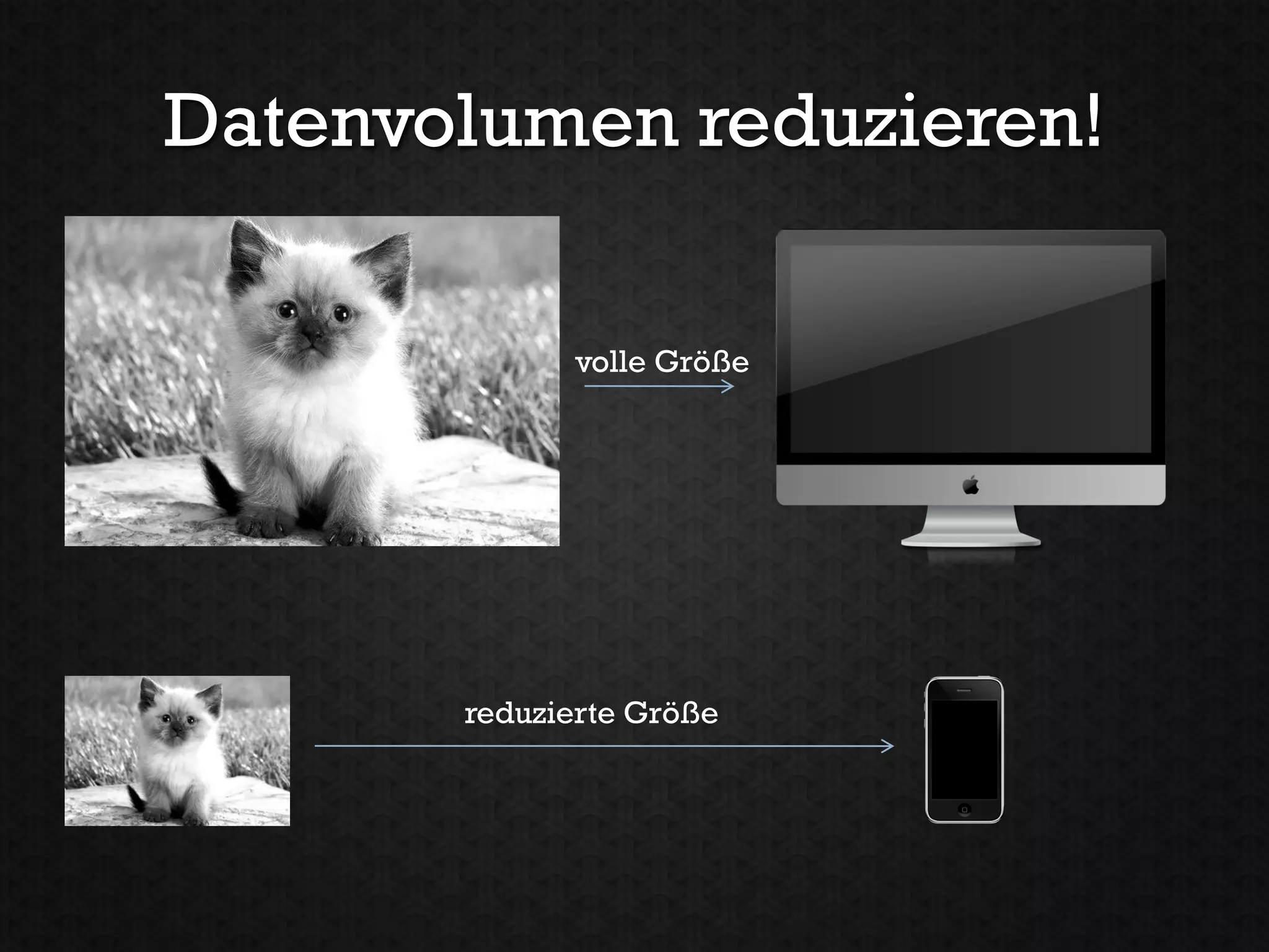 Datenvolumen reduzieren!

             volle Größe




       reduzierte Größe
 