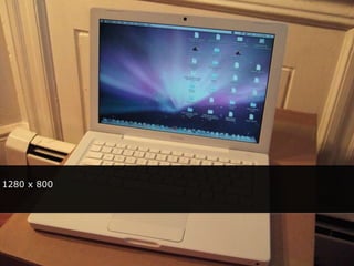 1280 x 800




 Photo: Steve Rhodes
 