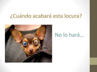 ¿Cuándo acabará esta locura?


                 No lo hará…
 