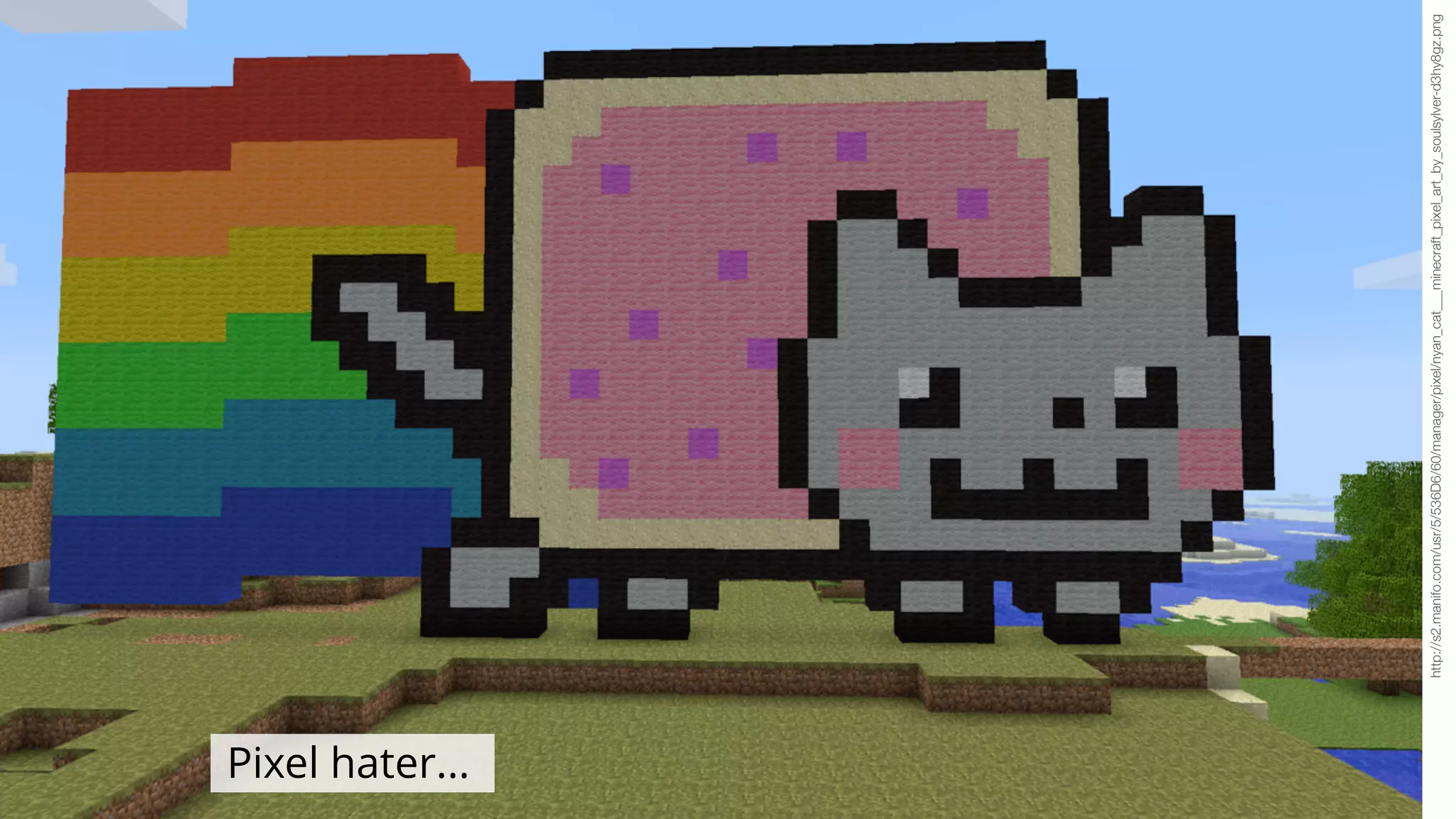 http://s2.manifo.com/usr/5/536D6/60/manager/pixel/nyan_cat___minecraft_pixel_art_by_soulsylver-d3hy8gz.png
Pixel hater...
 