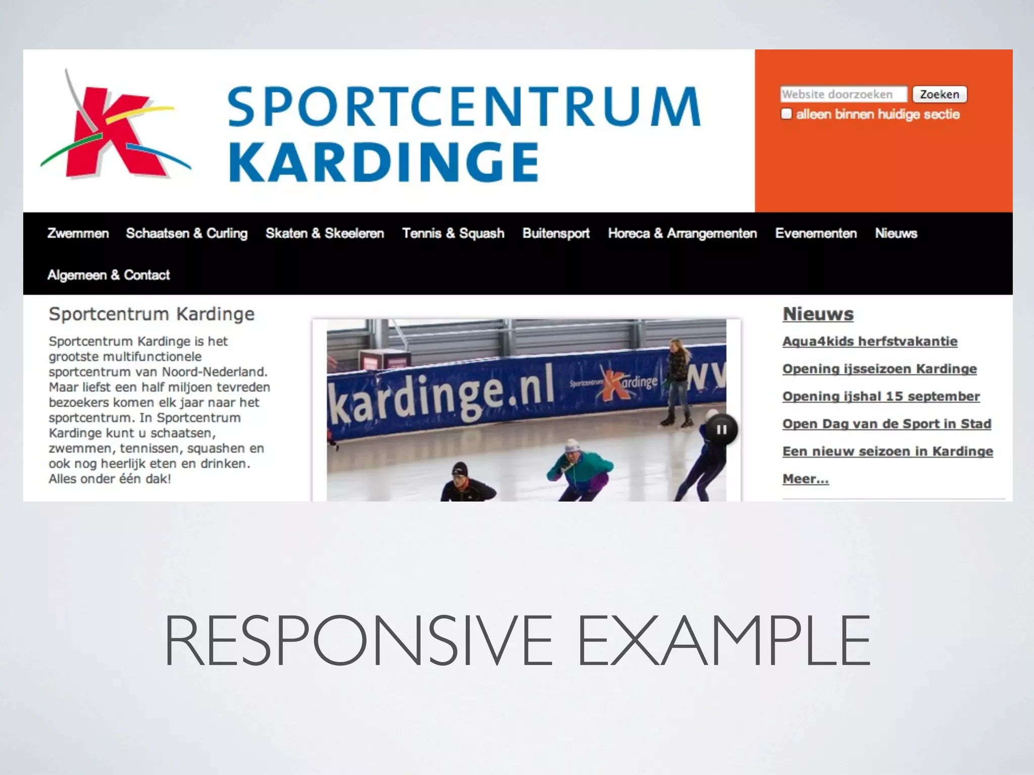 RESPONSIVE EXAMPLE
 