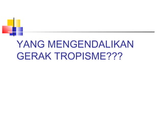 YANG MENGENDALIKAN
GERAK TROPISME???
 