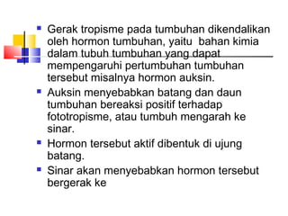    Gerak tropisme pada tumbuhan dikendalikan
    oleh hormon tumbuhan, yaitu bahan kimia
    dalam tubuh tumbuhan yang dapat
    mempengaruhi pertumbuhan tumbuhan
    tersebut misalnya hormon auksin.
   Auksin menyebabkan batang dan daun
    tumbuhan bereaksi positif terhadap
    fototropisme, atau tumbuh mengarah ke
    sinar.
   Hormon tersebut aktif dibentuk di ujung
    batang.
   Sinar akan menyebabkan hormon tersebut
    bergerak ke
 