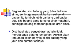    Bagian atau sisi batang yang tidak terkena
    sinar, sehingga mengakibatkan sel-sel di
    bagian itu tumbuh lebih panjang dari bagian
    atau sisi batang yang terkena sinar matahari,
    sehingga batang membengkok ke arah sinar.

   Distribusi atau penyebaran auksin tidak
    merata pada batang tumbuhan. Auksin akan
    terkumpul lebih banyak di sisi batang yang
    jauh dari sumber cahaya
 