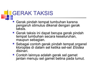 GERAK TAKSIS
   Gerak pindah tempat tumbuhan karena
    pengaruh stimulus dikenal dengan gerak
    taksis.
   Gerak taksis ini dapat berupa gerak pindah
    tempat tumbuhan secara keseluruhan,
    maupun sebagian.
   Sebagai contoh gerak pindah tempat organel
    kloroplas di dalam sel ketika sel-sel Elodea
    disinari.
   Contoh lainnya adalah gerak sel gamet
    jantan menuju sel gamet betina pada lumut.
 