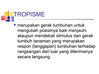 TROPISME
   merupakan gerak tumbuhan untuk
    mengubah posisinya baik menjauhi
    ataupun mendekati stimulus dan gerak
    tumbuh tanaman yang merupakan
    respon (tanggapan) tumbuhan terhadap
    rangsangan dari luar yang diterimanya
    secara langsung.
 