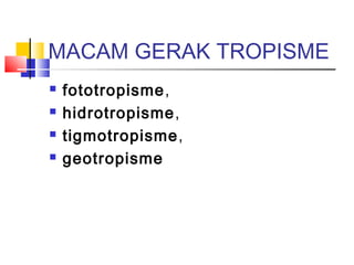 MACAM GERAK TROPISME
   fototropisme,
   hidrotropisme,
   tigmotropisme,
   geotropisme
 