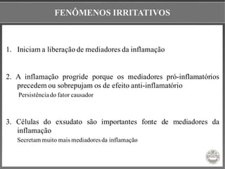 FENÔMENOS IRRITATIVOS
1. Iniciam a liberação de mediadores da inflamação
2. A inflamação progride porque os mediadores pró-inflamatórios
precedem ou sobrepujam os de efeito anti-inflamatório
Persistência do fator causador
3. Células do exsudato são importantes fonte de mediadores da
inflamação
Secretam muito mais mediadores da inflamação
 