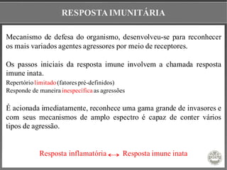 RESPOSTAIMUNITÁRIA
Mecanismo de defesa do organismo, desenvolveu-se para reconhecer
os mais variados agentes agressores por meio de receptores.
Os passos iniciais da resposta imune involvem a chamada resposta
imune inata.
Repertóriolimitado(fatores pré-definidos)
Responde de maneira inespecífica as agressões
É acionada imediatamente, reconhece uma gama grande de invasores e
com seus mecanismos de amplo espectro é capaz de conter vários
tipos de agressão.
Resposta inflamatória Resposta imune inata
 