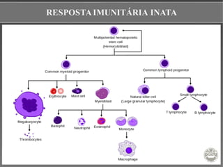 RESPOSTAIMUNITÁRIA INATA
 