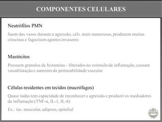 COMPONENTES CELULARES
Neutrófilos PMN
Saem dos vasos durante a agressão, céls. mais numerosas,produzem muitas
citocinas e fagocitam agentes invasores
Mastócitos
Possuem granulos de histamina – liberados no estimuloda inflamação,causam
vasodilataçãoe aumentoda permeabilidade vascular
Células residentes em tecidos (macrófagos)
Quase todas tem capacidade de reconhecer a agressão e produzir os mediadores
da inflamação(TNF-α, IL-1, IL-6)
Ex.: tec. muscular,adiposo, epitelial
 