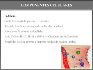 COMPONENTES CELULARES
Endotélio
Controla a saída de plasma e leucócitos
Saída de leucócitos depende de moléculas de adesão
Ativadores de células endoteliais:
IL-1, TNF-α, IL-17, IL-18 e INF-γ → Citocinas pró-inflamtórias
Recebidos na face externa e resposta produzida na face luminal
 