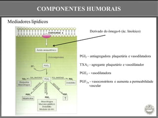 COMPONENTES HUMORAIS
Mediadores lipídicos
PGI2 – antiagregadora plaquetária e vasodilatadora
TXA2 – agregante plaquetário e vasodilatador
PGE2 – vasodilatadora
PGF2α – vasoconstritora e aumenta a permeabilidade
vascular
Derivado do ômega-6 (ác. linoleico)
 