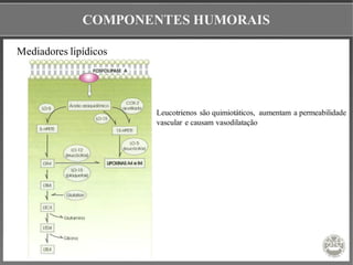 COMPONENTES HUMORAIS
Mediadores lipídicos
Leucotrienos são quimiotáticos, aumentam a permeabilidade
vascular e causam vasodilatação
 