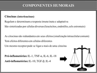 COMPONENTES HUMORAIS
Citocinas (interleucinas)
Regulam e determinam a resposta imune inata e adaptativa
São sintetizadas por células diversas (leucócitos,endotélio,cels estromais)
As citocinas são redundantes em seus efeitos (sinalizaçãointracelularcomum)
Tem efeitos diferentes em células diferentes
Um mesmo receptor pode se ligar a mais de uma citocina
Pró-inflamatórias:IL-1, TNF-α, IL-6, IL-18
Anti-inflamatórias:IL-10, TGF-β, IL-4
 