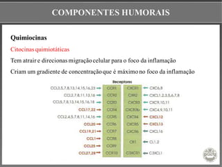 COMPONENTES HUMORAIS
Quimiocinas
Citocinas quimiotáticas
Tem atrair e direcionas migraçãocelular para o foco da inflamação
Criam um gradiente de concentraçãoque é máximono foco da inflamação
 
