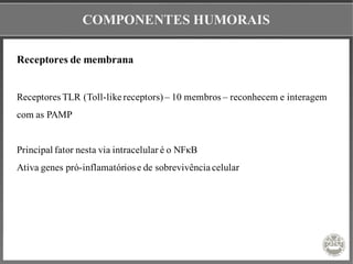 COMPONENTES HUMORAIS
Receptores de membrana
Receptores TLR (Toll-like receptors) – 10 membros – reconhecem e interagem
com as PAMP
Principal fator nesta via intracelular é o NFκB
Ativa genes pró-inflamatóriose de sobrevivência celular
 