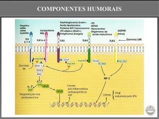 COMPONENTES HUMORAIS
 