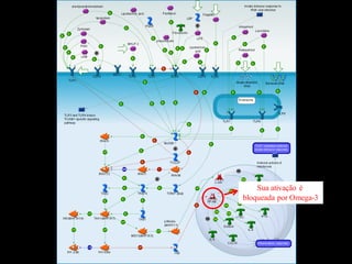 COMPONENTES HUMORAIS
Sua ativação é
bloqueada por Omega-3
 
