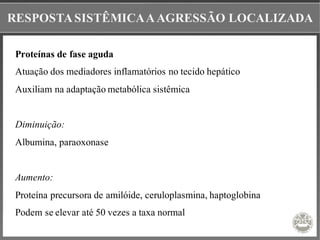 RESPOSTASISTÊMICAAAGRESSÃO LOCALIZADA
Proteínas de fase aguda
Atuação dos mediadores inflamatórios no tecido hepático
Auxiliam na adaptação metabólica sistêmica
Diminuição:
Albumina, paraoxonase
Aumento:
Proteína precursora de amilóide, ceruloplasmina, haptoglobina
Podem se elevar até 50 vezes a taxa normal
 