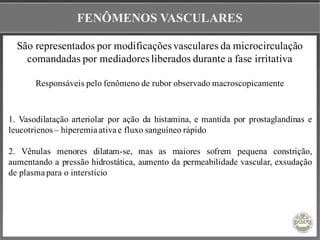 FENÔMENOS VASCULARES
São representados por modificações vasculares da microcirculação
comandadas por mediadores liberados durante a fase irritativa
Responsáveis pelo fenômeno de rubor observado macroscopicamente
1. Vasodilatação arteriolar por ação da histamina, e mantida por prostaglandinas e
leucotrienos – hiperemia ativa e fluxo sanguíneo rápido
2. Vênulas menores dilatam-se, mas as maiores sofrem pequena constrição,
aumentando a pressão hidrostática, aumento da permeabilidade vascular, exsudação
de plasma para o interstício
 