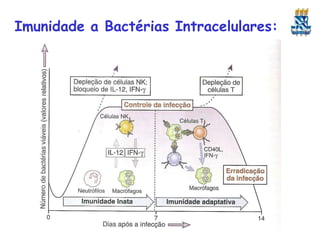 Imunidade a Bactérias Intracelulares:
 