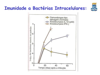 Imunidade a Bactérias Intracelulares:
 