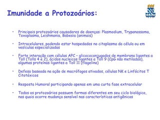 Imunidade a Protozoários:
• Principais protozoários causadores de doenças: Plasmodium, Trypanossoma,
Toxoplasma, Leishmania, Babesia (animais)
• Intracelulares, podendo estar hospedados no citoplasma da célula ou em
vesículas especializadas
• Forte interação com células APC – glicococonjugados de membrana ligantes a
Toll (Tolls 4 e 2), ácidos nucleicos ligantes a Toll 9 (CpG não metilados),
algumas proteínas ligantes a Toll 11 (flagelina)
• Defesa baseada na ação de macrófagos ativados, células NK e Linfócitos T
Citotóxicos
• Resposta Humoral participando apenas em uma curta fase extracelular
• Todos os protozoários possuem formas diferentes em seu ciclo biológico,
nas quais ocorre mudança sensível nas características antigênicas
 