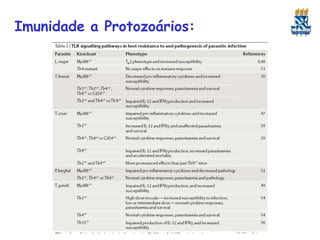 Imunidade a Protozoários:
 