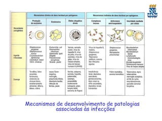 Mecanismos de desenvolvimento de patologias
associadas às infecções
 