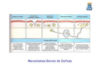 Mecanismos Gerais de Defesa
 