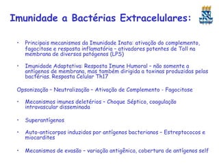 Imunidade a Bactérias Extracelulares:
• Principais mecanismos da Imunidade Inata: ativação do complemento,
fagocitose e resposta inflamatória – ativadores potentes de Toll na
membrana de diversos patógenos (LPS)
• Imunidade Adaptativa: Resposta Imune Humoral – não somente a
antígenos de membrana, mas também dirigida a toxinas produzidas pelas
bactérias. Resposta Celular Th17
Opsonização – Neutralização – Ativação de Complemento - Fagocitose
• Mecanismos imunes deletérios – Choque Séptico, coagulação
intravascular disseminada
• Superantígenos
• Auto-anticorpos induzidos por antígenos bacterianos – Estreptococos e
miocardites
• Mecanismos de evasão – variação antigênica, cobertura de antígenos self
 