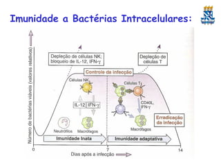 Imunidade a Bactérias Intracelulares:

 