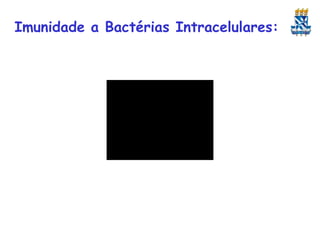 Imunidade a Bactérias Intracelulares:

 