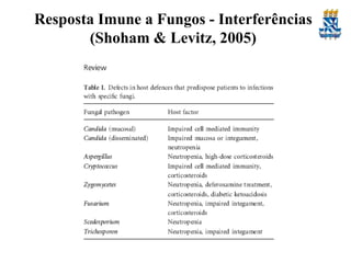Resposta Imune a Fungos - Interferências
(Shoham & Levitz, 2005)

 