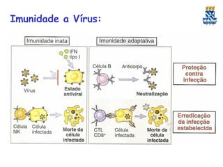 Imunidade a Vírus:

 